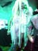 139-3974_IMG_2_2